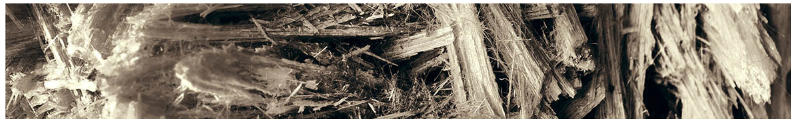 Asbestos (Vermiculite Insulation)